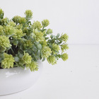 Arranjo Folhagem No Vaso Cerâmica Branco Baixo | Formosinha